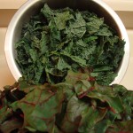 Kale & Chard