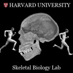 Barefoot Running Harvard