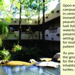 Phoenix Institute of Herbal Medicine and Acupuncture (PIHMA)