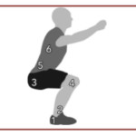 Flexibility Assessment